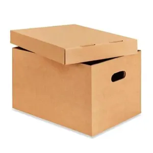 Storage Box w/ Lid (Í)